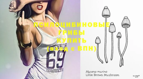 прущий лед Алексеевка