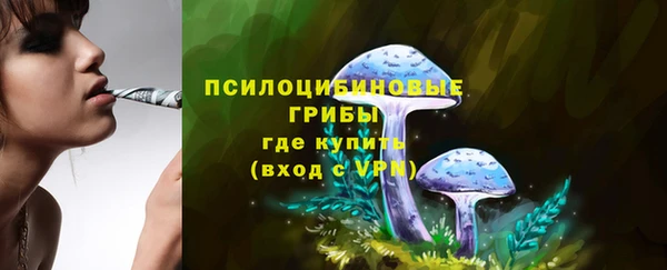 прущий лед Алексеевка