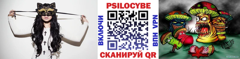 Купить где  Краснодар  Галлюциногенные грибы Psilocybe 